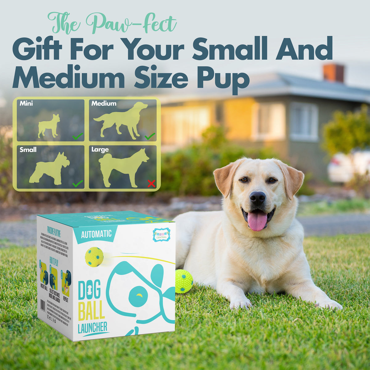 Automatic dog ball launcher with six balls – view 6