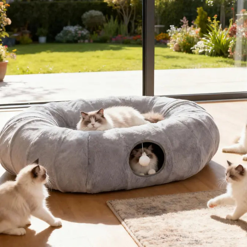 Cozy Cat Cave Bed: Double the Fun for Your Furry Friends! Hide, Play & Nap in Style Cat and Dog Bed