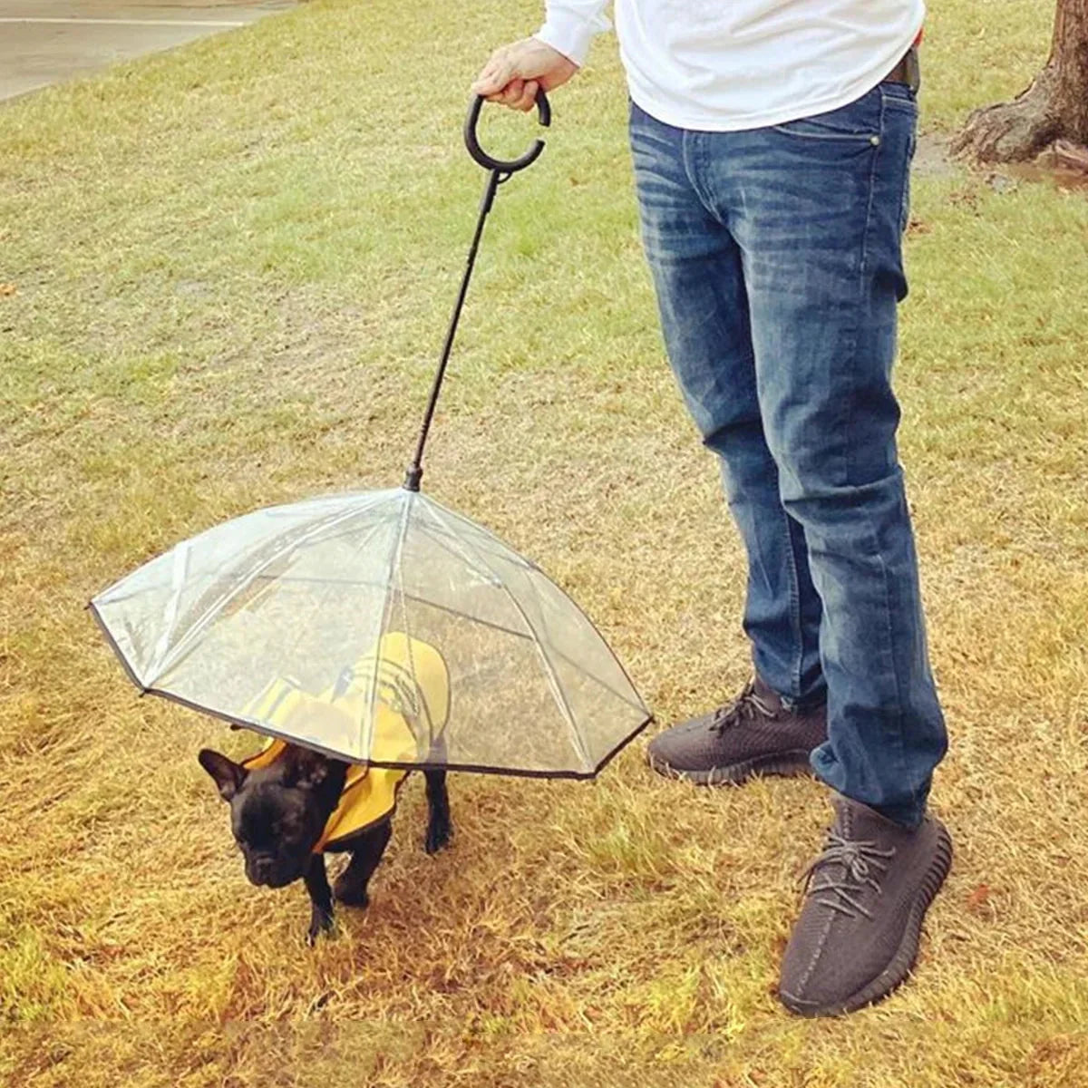 Clear dog umbrella with built-in leash – view 4