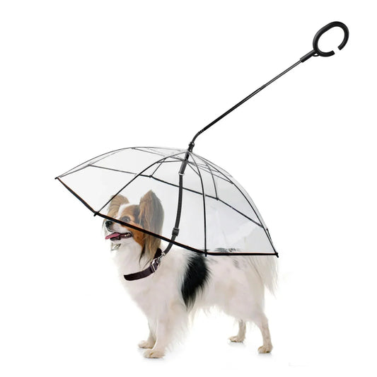 Clear dog umbrella with built-in leash by Tailbright